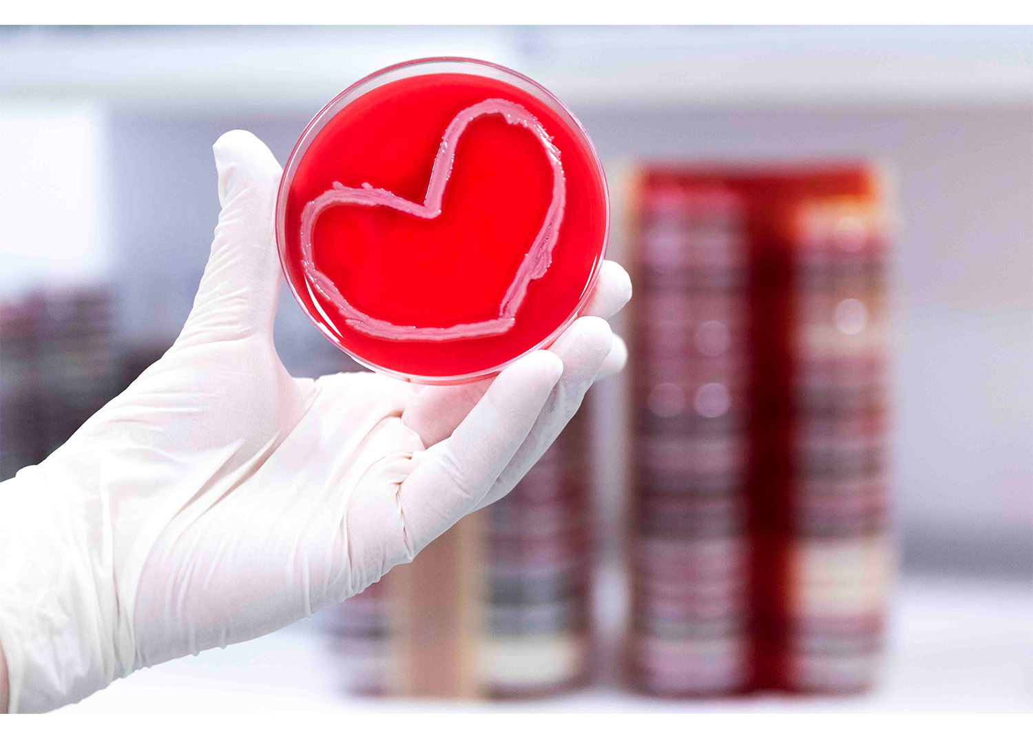 HERZliche Grüße zum Valentinstag